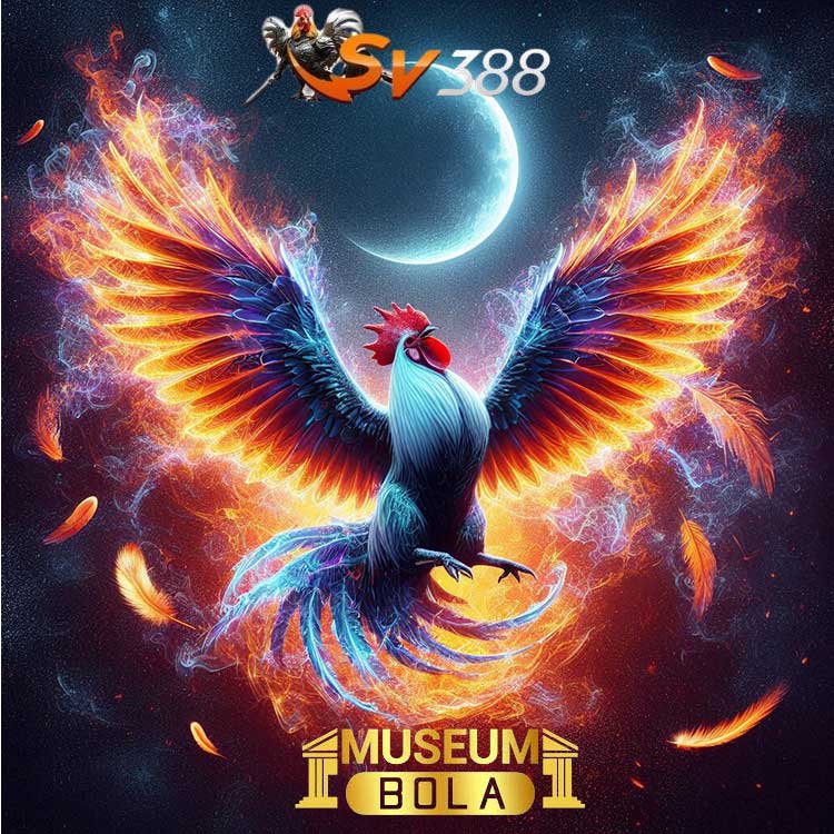 SV388 di Museumbola: Akses Sabung Ayam Lebih Cepat